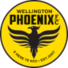 威灵顿凤凰女足后备队logo